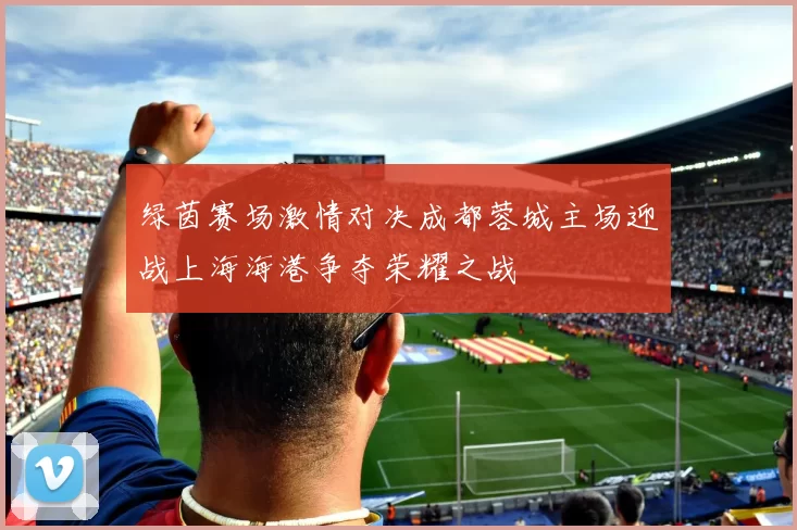 绿茵赛场激情对决成都蓉城主场迎战上海海港争夺荣耀之战