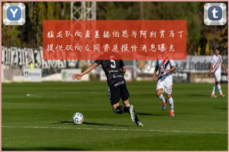 猛龙队向查基赫伯恩与阿利贾马丁提供双向合同资质报价消息曝光